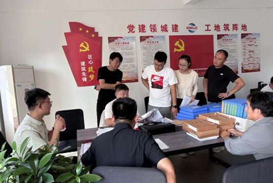 省檢查組對碧桂園?梧桐府開展企業(yè)資質(zhì)…